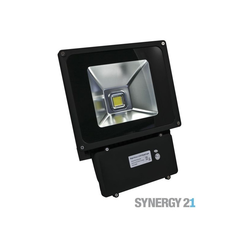 Synergy 21 LED outdoor spotlight 80W black housing - cold white V2 Synergy 21 LED - Artmar Electronic & Security AG