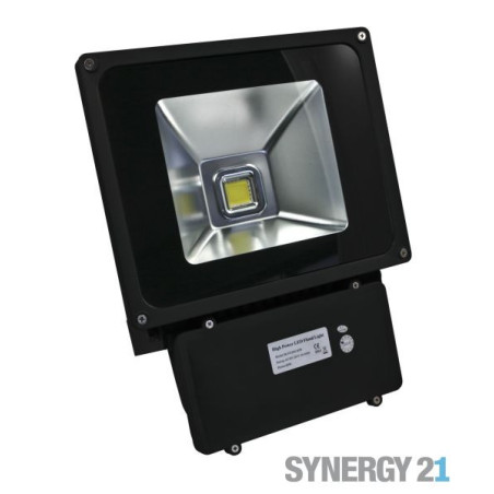 Synergy 21 LED outdoor spotlight 80W black housing - cold white V2 Synergy 21 LED - Artmar Electronic & Security AG