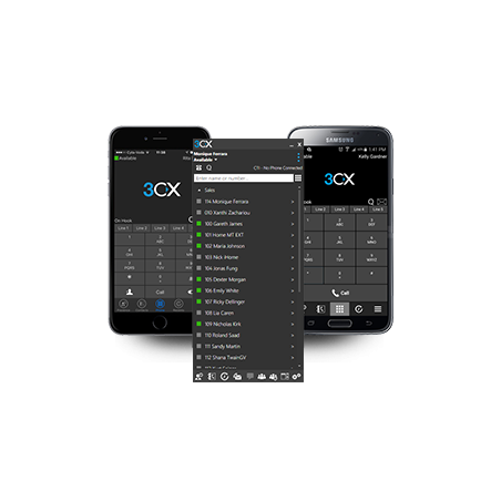 3CX Annual PBX Professional - 1024SC - 139109 - 1