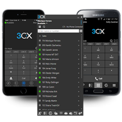 3CX Annual PBX Enterprise - 32SC - 139113 - 1