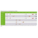 Wago Gelbox Serie 221, 2x73 max. 4mm²-Klemmen Größe 2 (4Stück) IP68 - 213107 - 4
