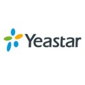 Yeastar P-Series Enterprise Plan P550 (2 years) - 194494 - 1