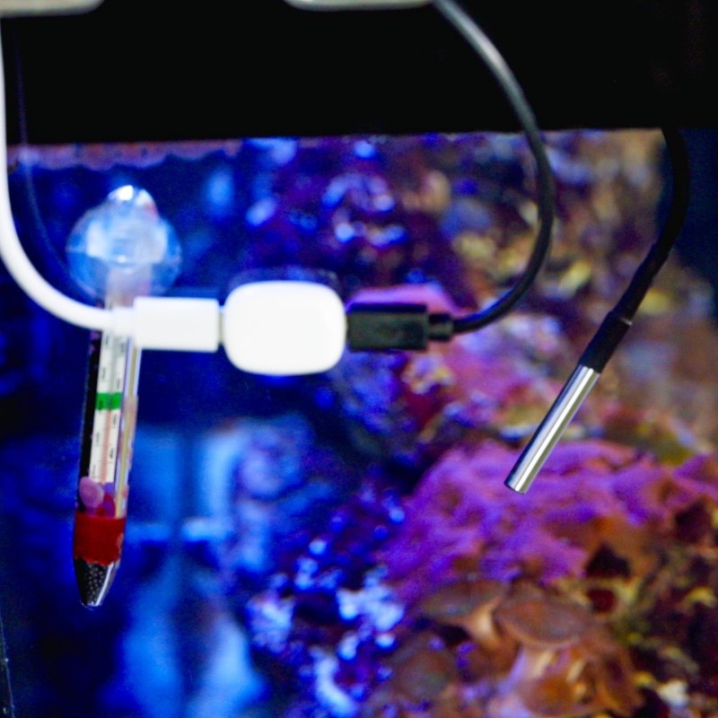 Shelly - The Pill - "Temperature sensor DS18B20 3.5 mm jack 1m cable" - 252235 - 3