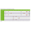 Wago Gelbox Series 221, 2x73 max. 4mm² terminals size 2 (4 pieces) IP68