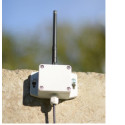 LoRa ELSYS LoRAWAN ELT Lite Outdoor analog oder digital Sensor (ohne Antenne)