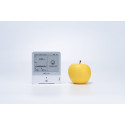 Milesight IoT Indoor Ambience Monitoring Sensor, AM307L-868M