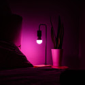 Shelly · Plug & Play · "Multicolor Bulb E27 Gen3" · LED Lampe · dimmbar · Messfunktion · WLAN · BT